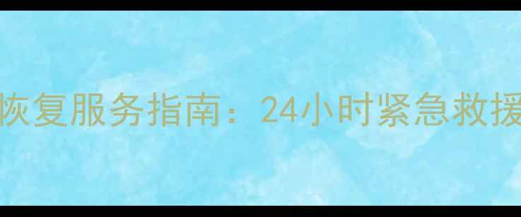 图片 常州专业U盘数据恢复服务指南：24小时紧急救援与高效恢复方案1
