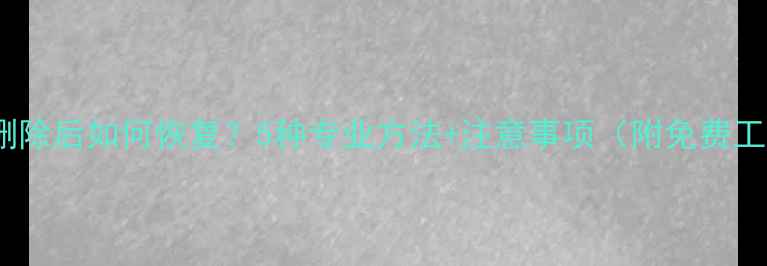 图片 应用数据删除后如何恢复？5种专业方法+注意事项（附免费工具推荐）2