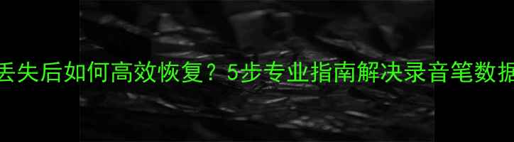 图片 录音文件丢失后如何高效恢复？5步专业指南解决录音笔数据丢失难题