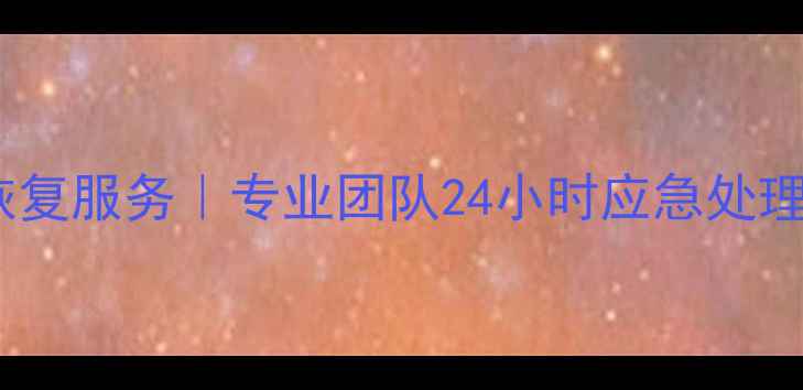 图片 徐汇区U盘数据恢复服务｜专业团队24小时应急处理｜徐汇全境覆盖