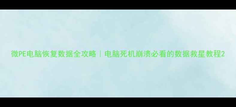 图片 微PE电脑恢复数据全攻略｜电脑死机崩溃必看的数据救星教程2