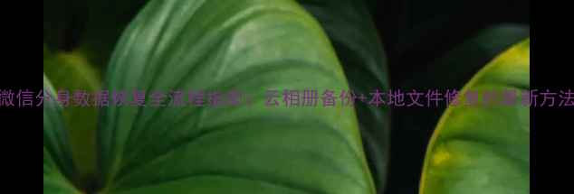 图片 微信分身数据恢复全流程指南：云相册备份+本地文件修复的最新方法