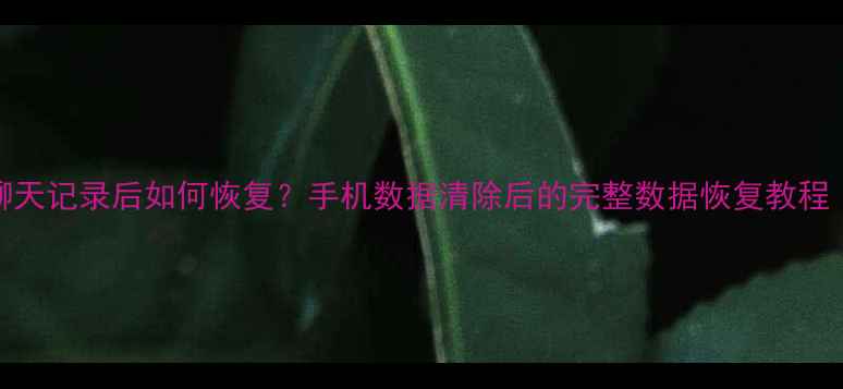 图片 微信删除聊天记录后如何恢复？手机数据清除后的完整数据恢复教程（最新版）