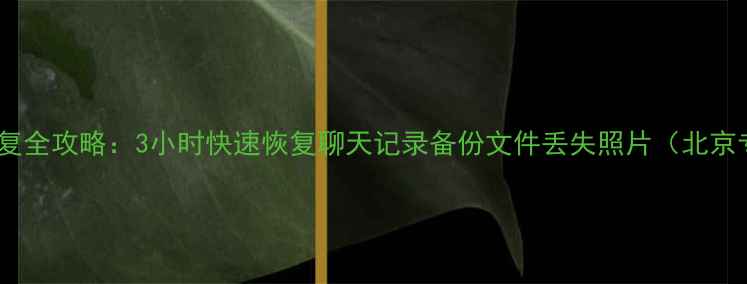 图片 微信数据恢复全攻略：3小时快速恢复聊天记录备份文件丢失照片（北京专业服务）1