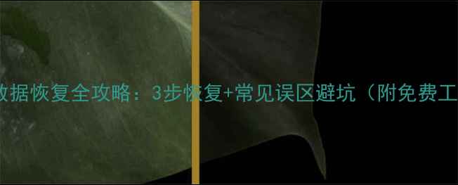 图片 徽章数据恢复全攻略：3步恢复+常见误区避坑（附免费工具）1