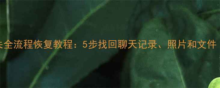 图片 快应用数据丢失全流程恢复教程：5步找回聊天记录、照片和文件（附详细步骤）