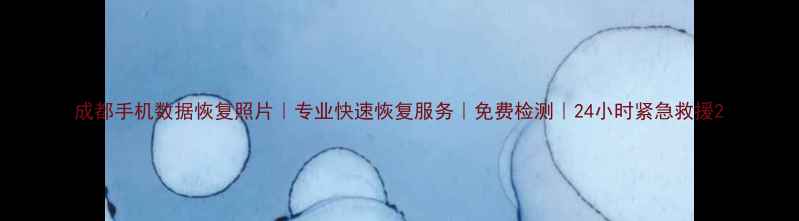 图片 成都手机数据恢复照片｜专业快速恢复服务｜免费检测｜24小时紧急救援2