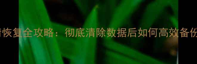 图片 手机双清恢复全攻略：彻底清除数据后如何高效备份与恢复2
