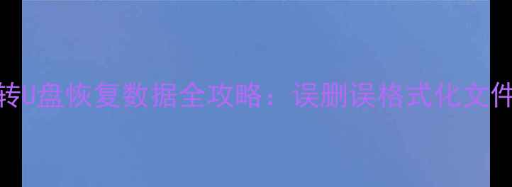 图片 手机存储转U盘恢复数据全攻略：误删误格式化文件救星教程