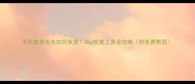 图片 手机数据丢失如何恢复？Sky恢复工具全攻略（附免费教程）