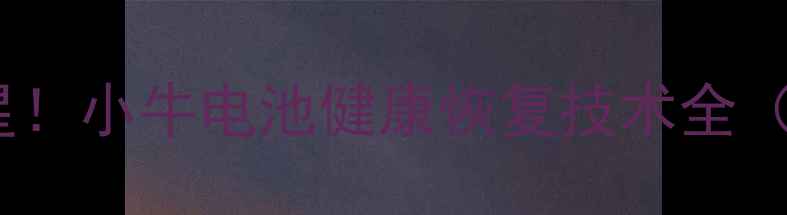 图片 手机数据丢失的救星！小牛电池健康恢复技术全（含详细操作指南）2