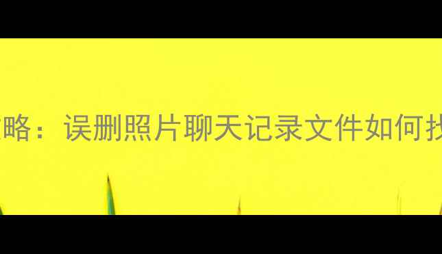 图片 手机数据恢复全攻略：误删照片聊天记录文件如何找回（最新教程）2