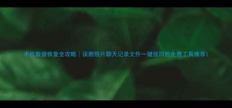 图片 手机数据恢复全攻略｜误删照片聊天记录文件一键找回的免费工具推荐1