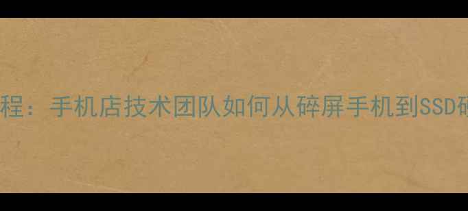 图片 手机数据恢复全流程：手机店技术团队如何从碎屏手机到SSD硬盘完整恢复数据1