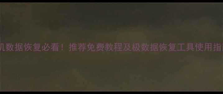 图片 手机数据恢复必看！推荐免费教程及极数据恢复工具使用指南2