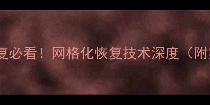 图片 手机数据恢复必看！网格化恢复技术深度（附实操教程）1