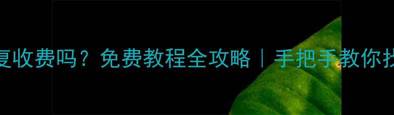 图片 手机数据恢复收费吗？免费教程全攻略｜手把手教你找回重要文件