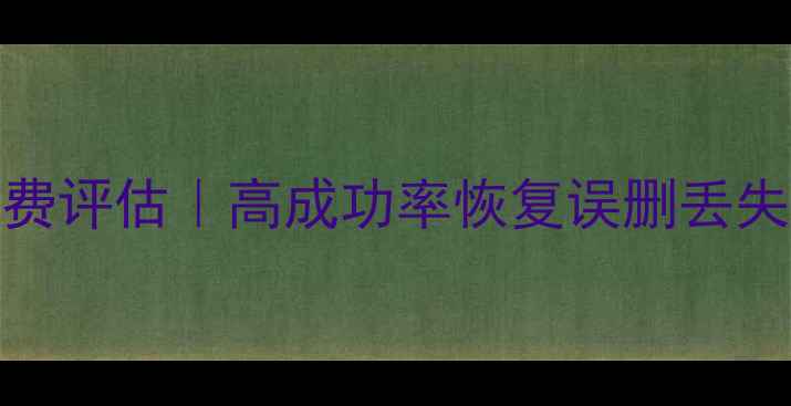 图片 手机电脑数据恢复160gb免费评估｜高成功率恢复误删丢失加密文件（附避坑指南）2