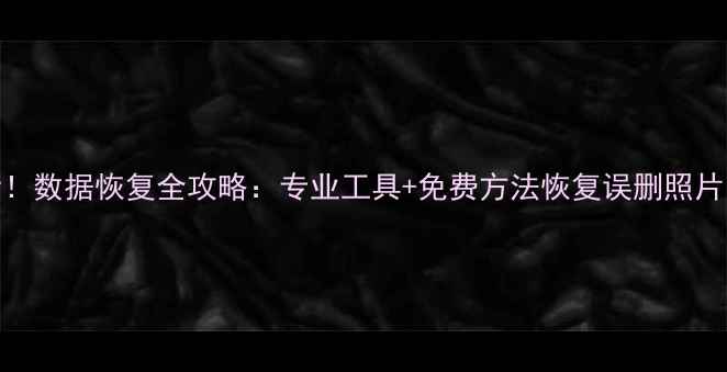 图片 手机电脑文件丢失必看！数据恢复全攻略：专业工具+免费方法恢复误删照片、聊天记录、工作文档
