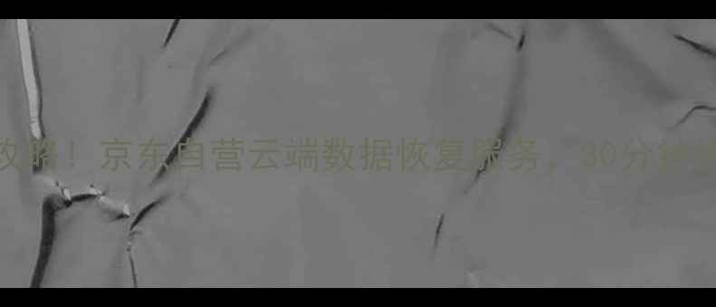 图片 手机电脑文件恢复全攻略！京东自营云端数据恢复服务，30分钟快速修复你的重要资料