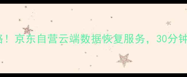 图片 手机电脑文件恢复全攻略！京东自营云端数据恢复服务，30分钟快速修复你的重要资料2