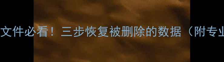 图片 手机电脑误删文件必看！三步恢复被删除的数据（附专业工具推荐）2