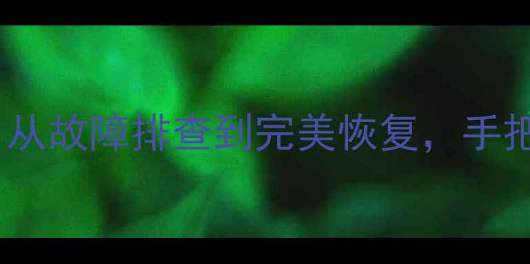 图片 打卡机数据恢复全攻略：从故障排查到完美恢复，手把手教你5步找回重要数据