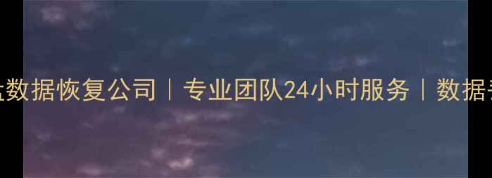 图片 拉萨权威硬盘数据恢复公司｜专业团队24小时服务｜数据丢失修复专家