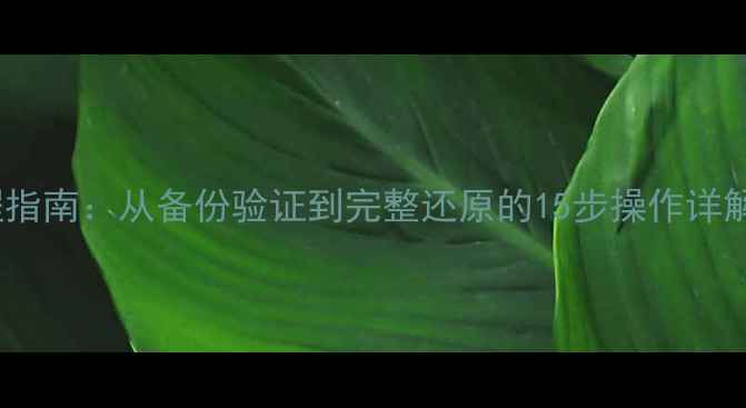 图片 数据库恢复全流程指南：从备份验证到完整还原的15步操作详解（附工具推荐）1