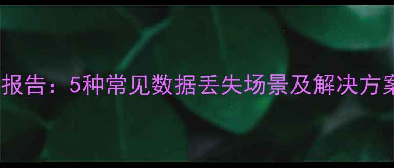 图片 数据恢复伴侣深度扫描报告：5种常见数据丢失场景及解决方案（附免费恢复教程）1