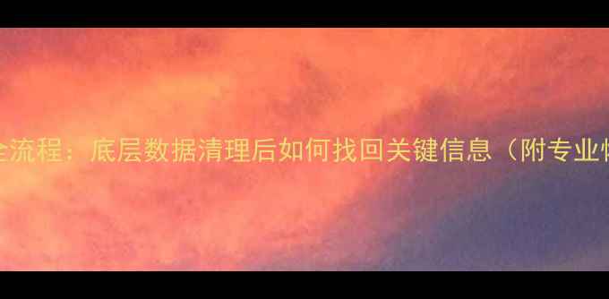 图片 数据恢复全流程：底层数据清理后如何找回关键信息（附专业恢复方案）