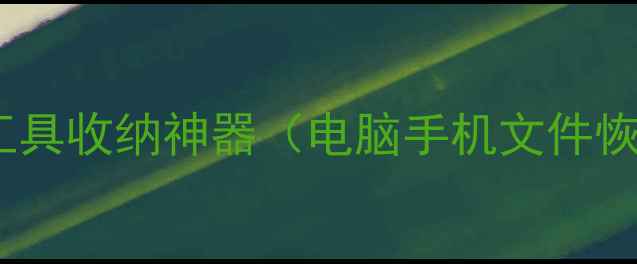 图片 数据恢复工具收纳神器（电脑手机文件恢复必备）2