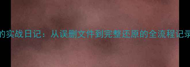 图片 数据恢复工程师的实战日记：从误删文件到完整还原的全流程记录（附实用模板）