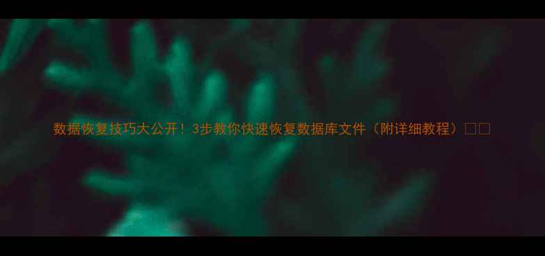 图片 数据恢复技巧大公开！3步教你快速恢复数据库文件（附详细教程）🔧💾