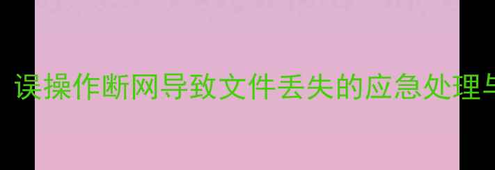 图片 数据恢复技巧：误操作断网导致文件丢失的应急处理与数据找回指南
