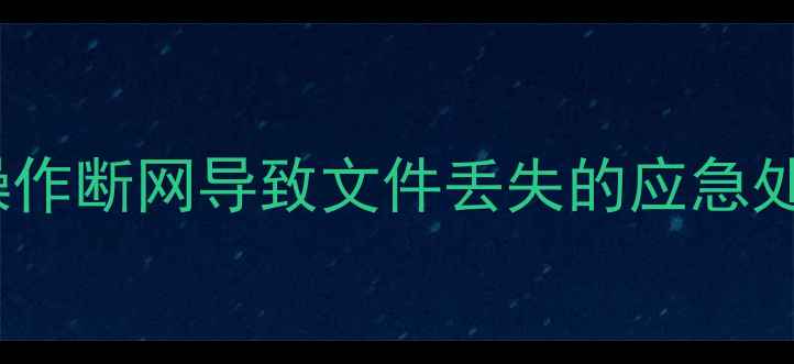 图片 数据恢复技巧：误操作断网导致文件丢失的应急处理与数据找回指南1