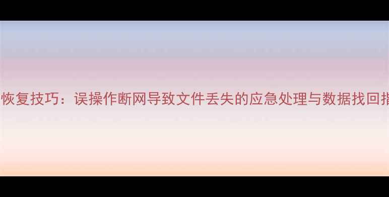 图片 数据恢复技巧：误操作断网导致文件丢失的应急处理与数据找回指南2