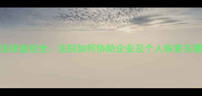 图片 数据恢复法律途径全：法院如何协助企业及个人恢复关键电子数据