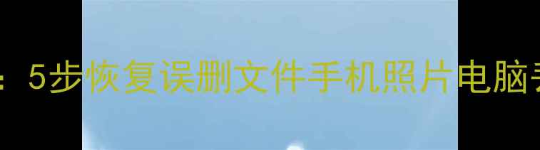 图片 数据恢复精灵使用全攻略：5步恢复误删文件手机照片电脑丢失数据（附详细教程）1