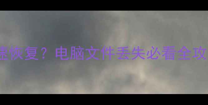 图片 数据溢出后如何快速恢复？电脑文件丢失必看全攻略（附免费工具）2