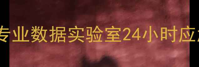 图片 新城子区硬盘数据恢复服务｜专业数据实验室24小时应急响应挽回重要文档照片视频1