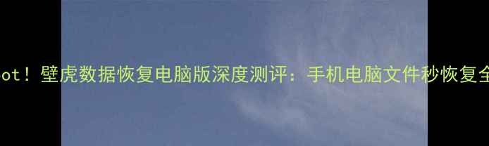 图片 无需Root！壁虎数据恢复电脑版深度测评：手机电脑文件秒恢复全攻略2