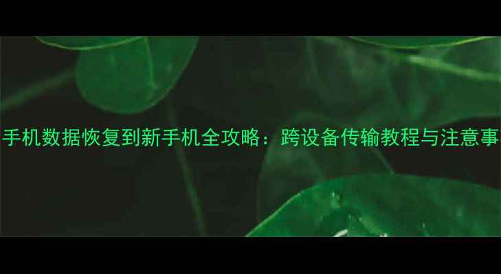 图片 旧手机数据恢复到新手机全攻略：跨设备传输教程与注意事项