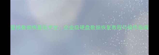 图片 星核数据恢复技术全：企业级硬盘数据恢复教程与操作指南