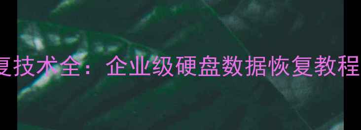 图片 星核数据恢复技术全：企业级硬盘数据恢复教程与操作指南1