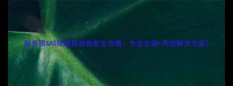 图片 服务器SAS硬盘数据恢复全攻略：专业步骤+高效解决方案2