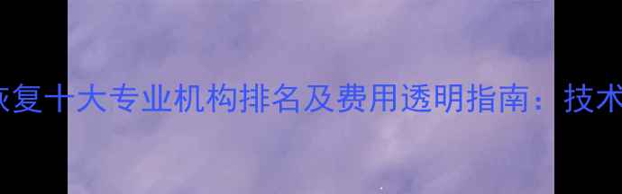 图片 服务器数据恢复十大专业机构排名及费用透明指南：技术与避坑建议1