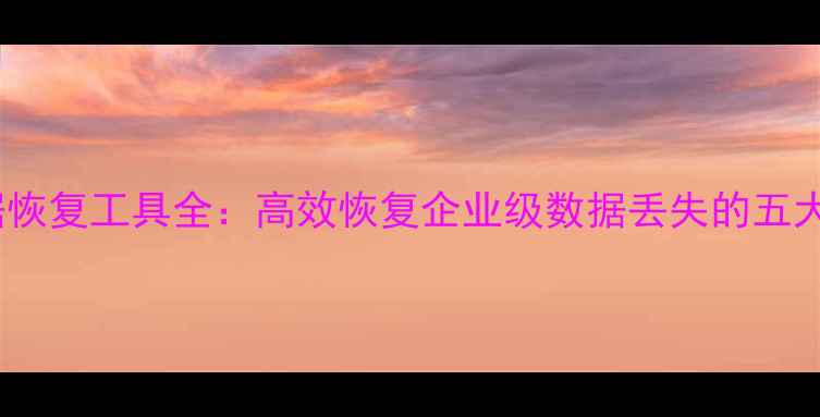 图片 服务器数据恢复工具全：高效恢复企业级数据丢失的五大解决方案2