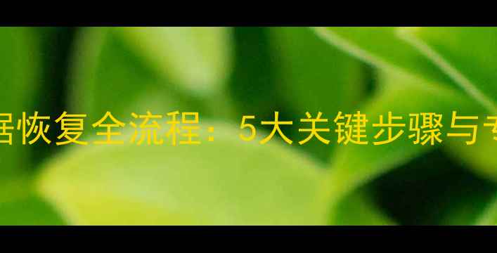 图片 机械硬盘数据恢复全流程：5大关键步骤与专业工具指南