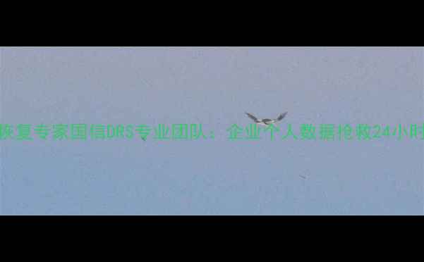 图片 杭州数据恢复专家国信DRS专业团队：企业个人数据抢救24小时极速恢复